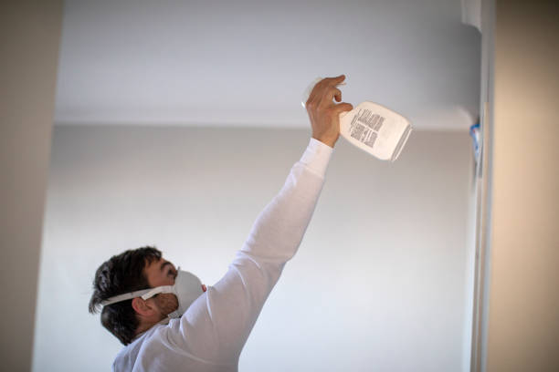 Best Local Mold Removal Service  in Markle, IN