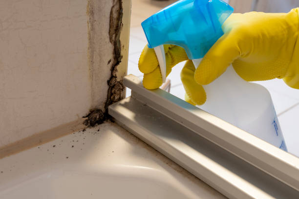 Crawl Space Mold Removal in Markle, IN