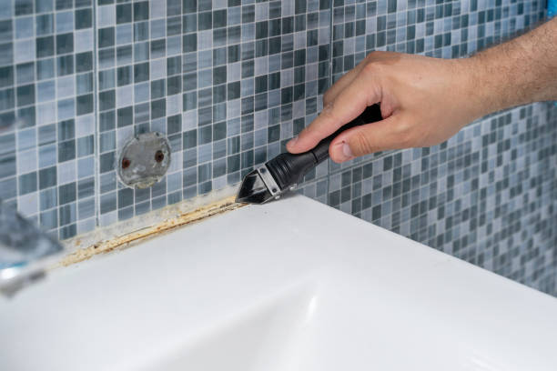 Best Attic Mold Removal  in Markle, IN